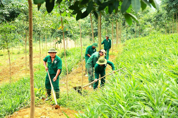 Các yếu tố ảnh hưởng đến sự gắn bó của nhân viên tại Công ty Cổ phần Đầu tư phát triển Cao su Nghệ An