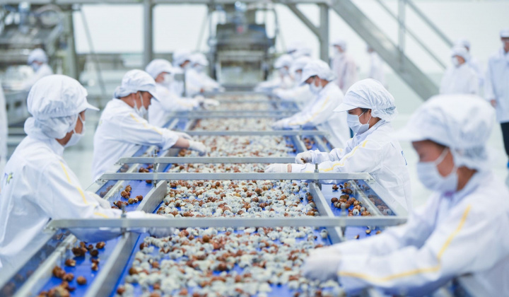 Ấn Độ siết chặt phòng vệ thương mại: Doanh nghiệp hãy bám sát thị trường và đối tác xuất khẩu