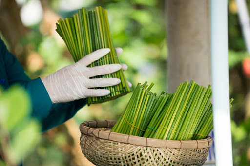 Ảnh hưởng của nhận thức về tính bền vững của xã hội và môi trường đến ý định tiêu dùng xanh