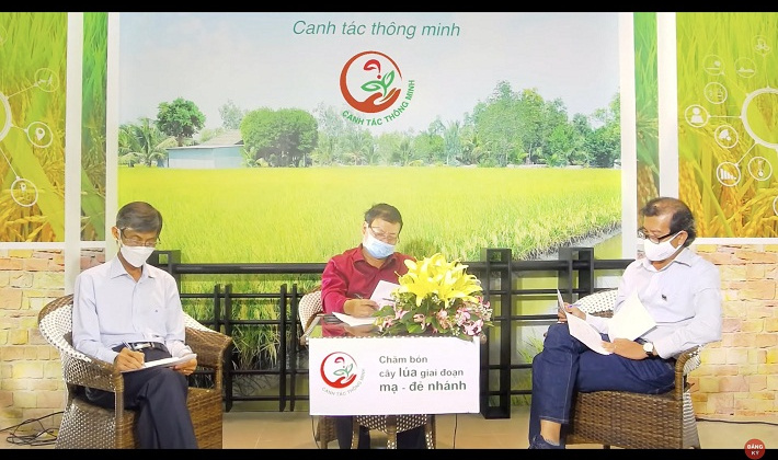 Tư vấn trực tuyến kỹ thuật canh tác cho nông dân trồng lúa vùng ĐBSCL