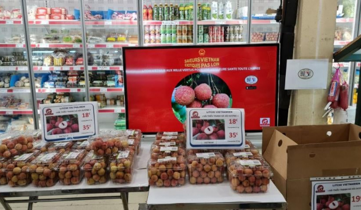 Vải thiều Việt Nam được ưa chuộng, Pháp đẩy nhanh nhập khẩu lô thứ 2