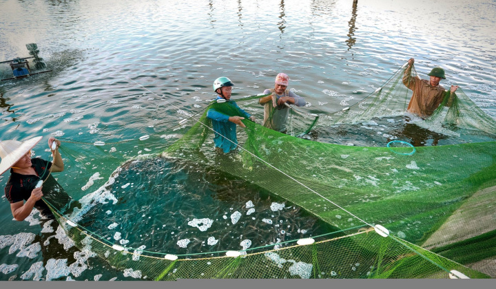 Chi Cục Thuỷ sản Thái Bình phát triển và bảo tồn nguồn lợi thuỷ sản theo hướng bền vững.