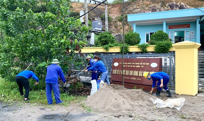 Công ty Môi trường - TKV hưởng ứng ngày Môi trường thế giới