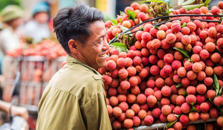 Tạo điều kiện thuận lợi nhất cho lưu thông, tiêu thụ quả vải tại thị trường trong nước