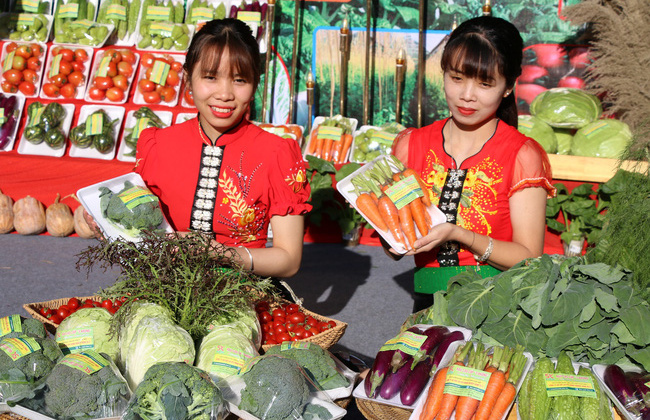 Đánh giá Chương trình mỗi xã một sản phẩm (OCOP) tỉnh Sơn La