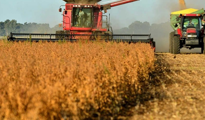 Thị trường nông sản thế giới lao dốc, dự báo sẽ còn dao động mạnh trong thời gian tới