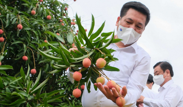 Bộ trưởng Bộ Công Thương: Đặc sản Việt Nam sẽ từ nhà sản xuất đến tận tay người tiêu dùng quốc tế