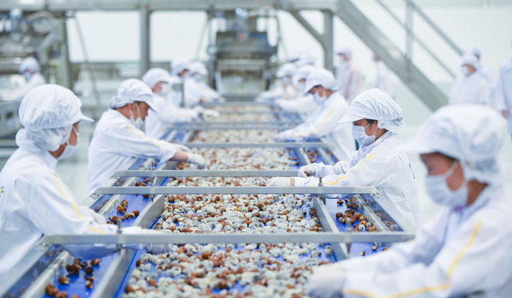 [TÁI CƠ CẤU] Giải pháp phát triển xuất khẩu 6 tháng cuối năm