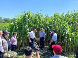 Phát triển hợp tác xã nông nghiệp ở huyện Yên Thành, tỉnh Nghệ An