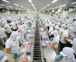 Thực trạng công bố thông tin phát triển bền vững của các doanh nghiệp niêm yết ngành thực phẩm