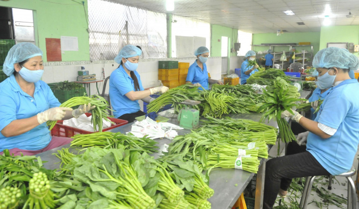 Thị trường nông sản Anh: Nhu cầu lớn nhưng yêu cầu rất cao