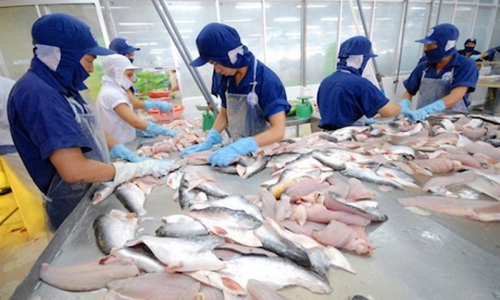 Doanh nghiệp cá tra kỳ vọng vào thị trường Brazil