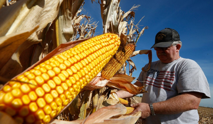 Giá nông sản thế giới nhích tăng nhẹ, thị trường tập trung chờ các dữ liệu cung - cầu mới