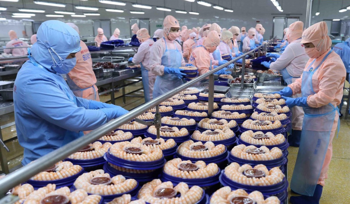 Tôm Việt Nam tăng thị phần tại Hoa Kỳ và EU