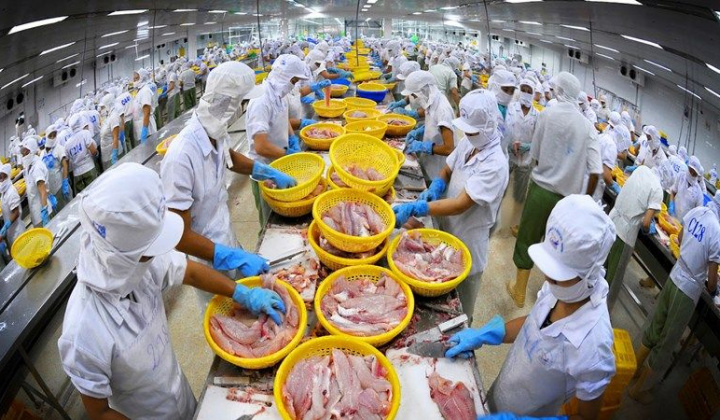 Phấn đấu đưa Việt Nam thành trung tâm chế biến thủy sản vào năm 2030