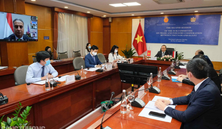 Việt Nam - Ai Cập thúc đẩy hợp tác thương mại, công nghiệp trong bối cảnh dịch bệnh