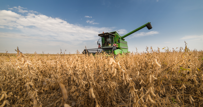 Nhu cầu sử dụng đậu tương toàn cầu có xu hướng giảm trong niên vụ 2021/2022