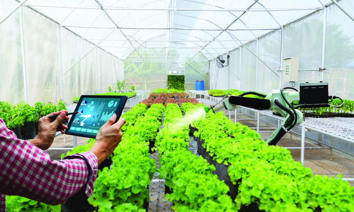 Nhu cầu cấp bách xây dựng cơ sở dữ liệu sản xuất hàng hóa