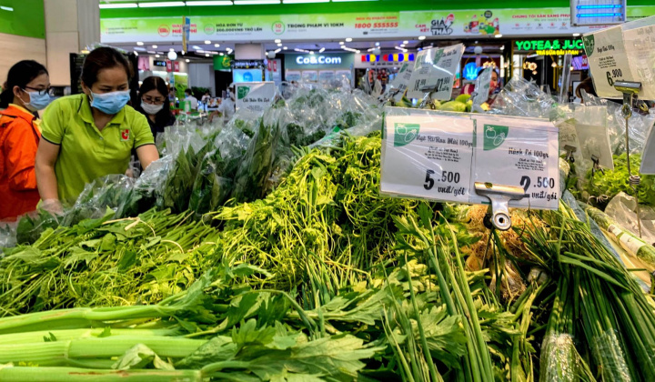 TP. Hồ Chí Minh: Triệt để giãn cách, siết chặt kiểm soát đi lại; bảo đảm đủ hàng hóa, hỗ trợ 2 triệu gói an sinh