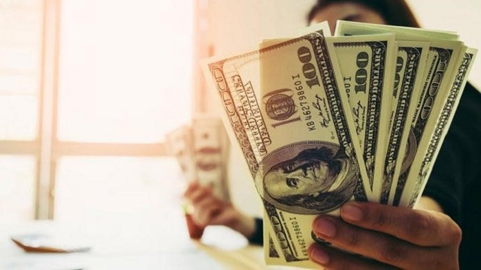 Impacts of intrinsic motivation and job satisfaction: The moderating role of income