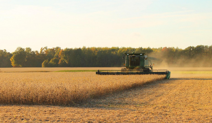 Giá nông sản thế giới tăng nhẹ, thị trường quan sát quyết định về nhiên liệu sinh học của Hoa Kỳ