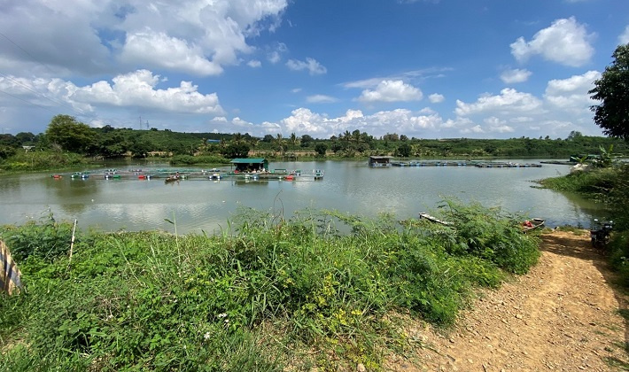 Công ty Thủy điện Đại Ninh chủ động, sẵn sàng ứng phó với mùa mưa bão năm 2021