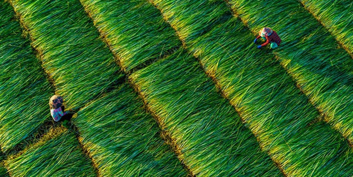 Những mô hình sản xuất hiệu quả cao ở huyện có 34 giáo xứ