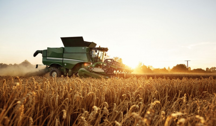 Thị trường nông sản thế giới trầm lắng trước các dữ liệu cung - cầu nông sản mới