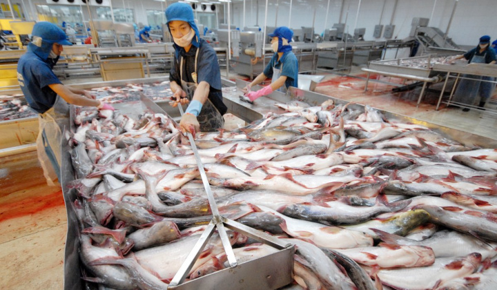 Hoa Kỳ kết luận sơ bộ đợt rà soát thuế chống bán phá giá POR17 với cá tra, basa Việt Nam