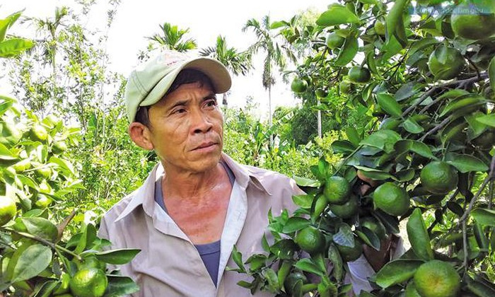 Hỗ trợ HTX huy động vốn sản xuất kinh doanh