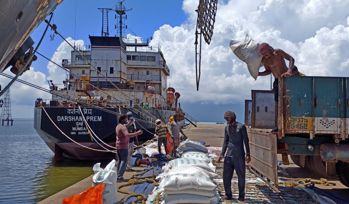 Xuất khẩu gạo Ấn Độ có thể chiếm 45% tổng lượng gạo xuất khẩu toàn cầu năm nay