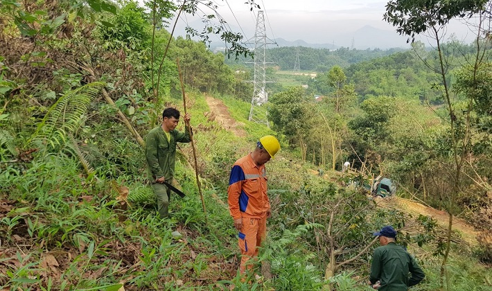 EVNNPC: Đồng bộ nhiều giải pháp nhằm vận hành lưới điện an toàn