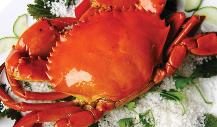 Tổng quan kỹ thuật ương ấu trùng cua biển (Scylla) ở các giai đoạn zoea