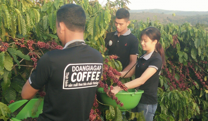 Đắk Nông: Tận dụng cơ hội xuất khẩu  nông sản khi thực hiện Hiệp định EVFTA
