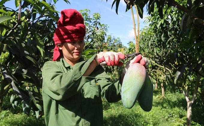 Hỗ trợ phát triển kinh tế vùng dân tộc thiểu số theo 2 hướng