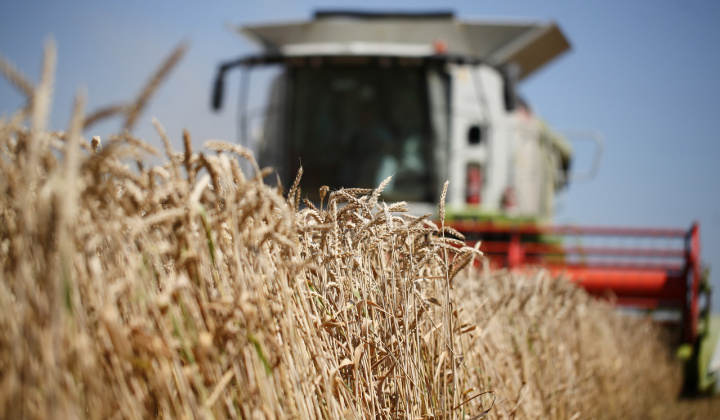 Giá nông sản thế giới chịu áp lực bán mạnh trước diễn biến phức tạp của thiên tai và đáo hạn phái sinh