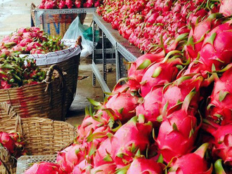 Trung Quốc chính thức khôi phục thông quan cửa khẩu Hà Khẩu (Lào Cai)