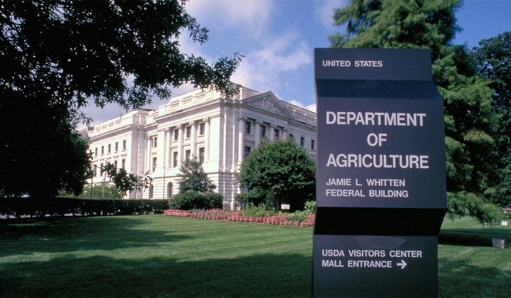 Giá đậu tương và lúa mì sụt giảm mạnh sau các báo cáo mới của USDA