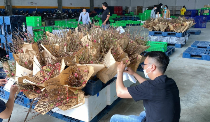 Hàng Việt ngập tràn sàn thương mại điện tử mùa Tết