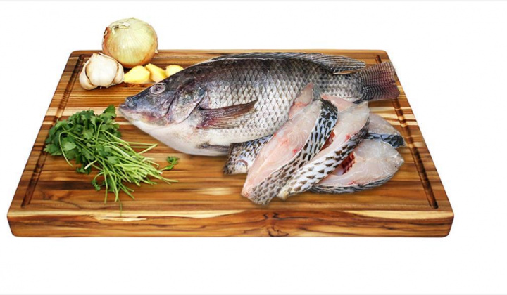 Ảnh hưởng của điều kiện thủy phân protein từ phụ phẩm cá rô phi làm phân bón cho chè