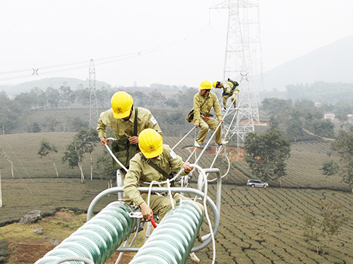 Vai trò lãnh đạo của Đảng ở một công ty truyền tải điện