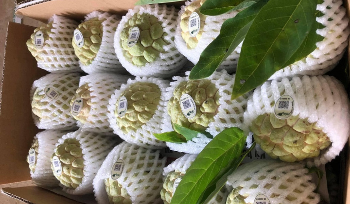 Tiêu thụ nông sản thời 4.0 và những “trái ngọt” từ chuyển đổi số