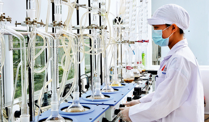 Những đơn hàng đầu năm mới đầy triển vọng