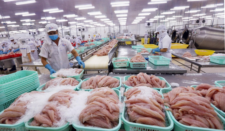 Xuất khẩu thủy sản năm 2021 đạt gần 9 tỷ USD