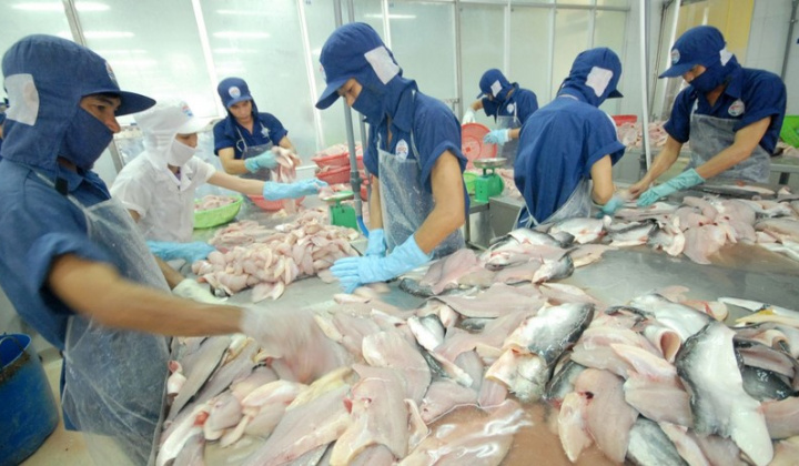 Nhiều nước ASEAN tăng cường nhập khẩu cá tra Việt Nam