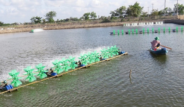 Trên 98% hộ đồng bào Khmer ở Trà Vinh được sử dụng điện lưới quốc gia
