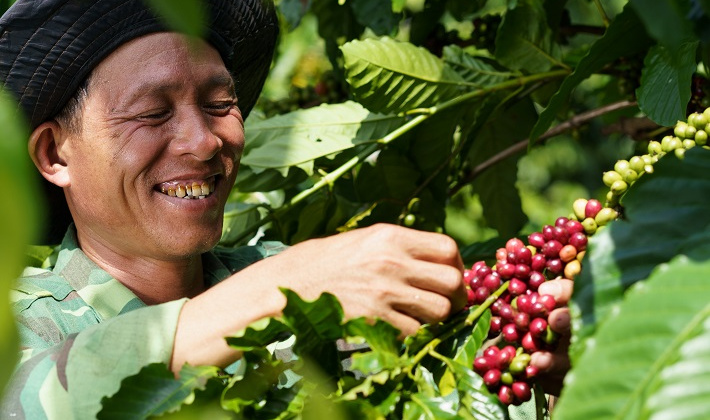 Câu chuyện từ mô hình NESCAFÉ Plan