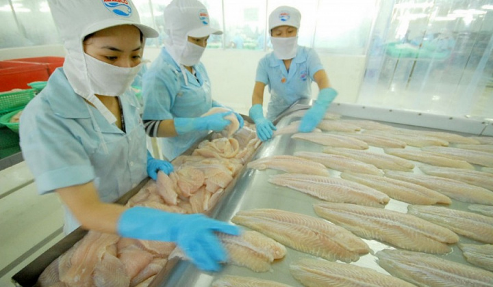 Châu Mỹ - Điểm nhấn rực rỡ sắc màu trong khai thác CPTPP