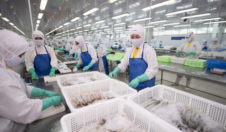 Thực phẩm Sao Ta (FMC): Chủ động ứng phó các khó khăn, doanh số tiêu thụ 9 tháng tăng 18%