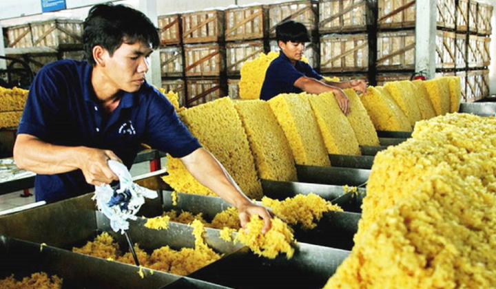 Xuất khẩu cao su 9 tháng tăng cả về lượng và trị giá